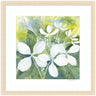Framed Art White Phantom Hydrangea in Greens by Patricia Shaw