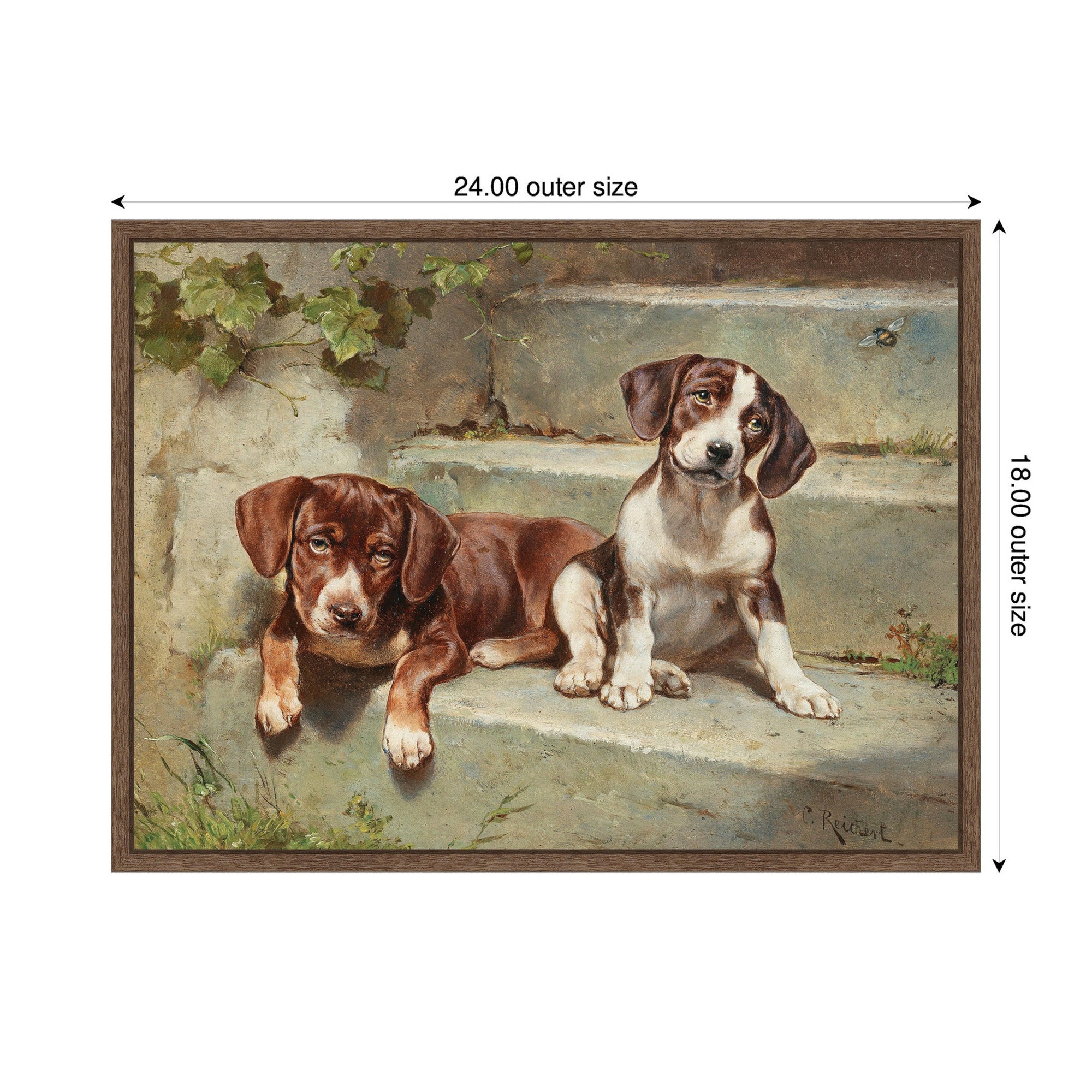 Framed Canvas 24x18 Sylvie Walnut 2