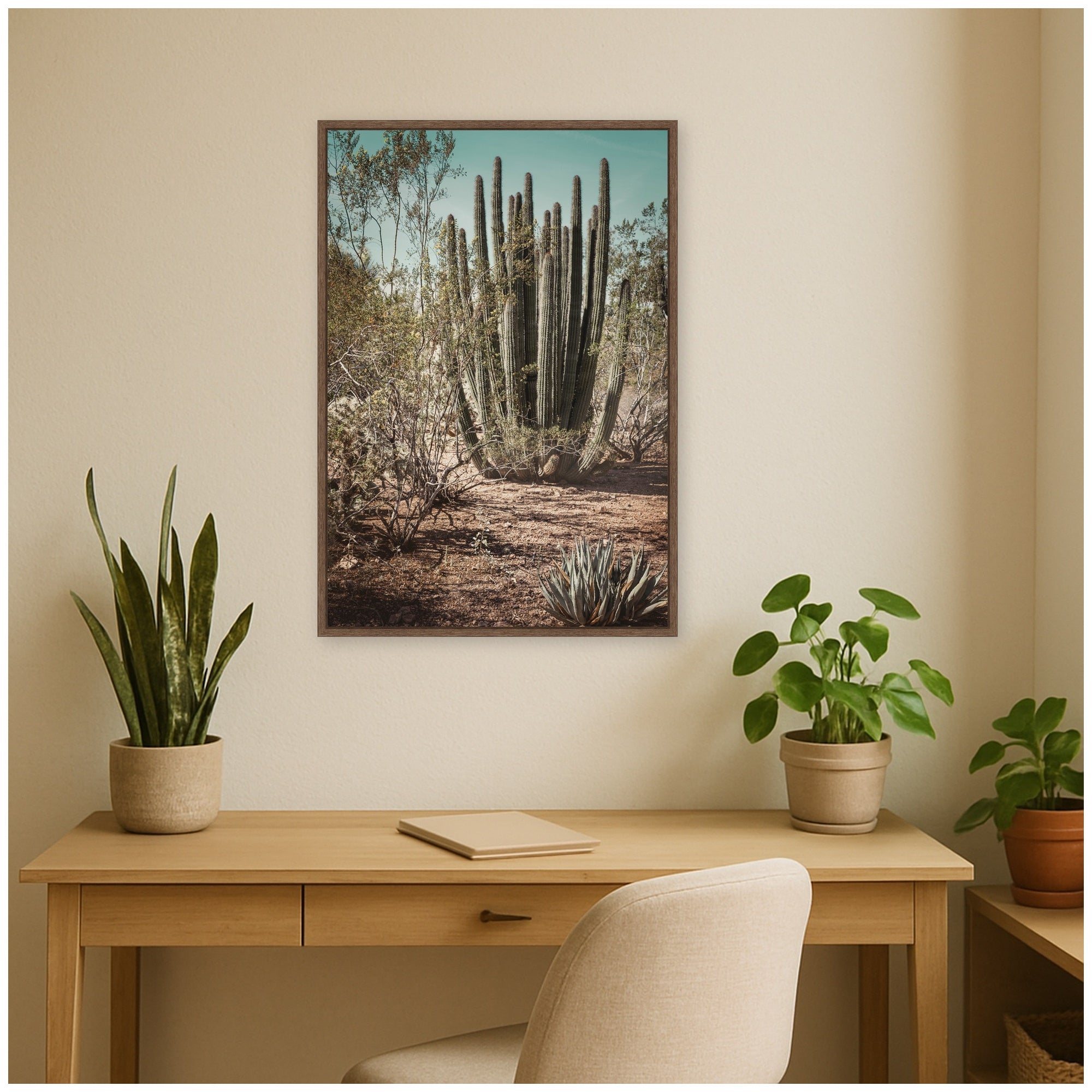 Framed Canvas 23x33 Sylvie Walnut 6