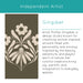 Framed Art Set 2 Piece Set 15x19 Svelte White 7
