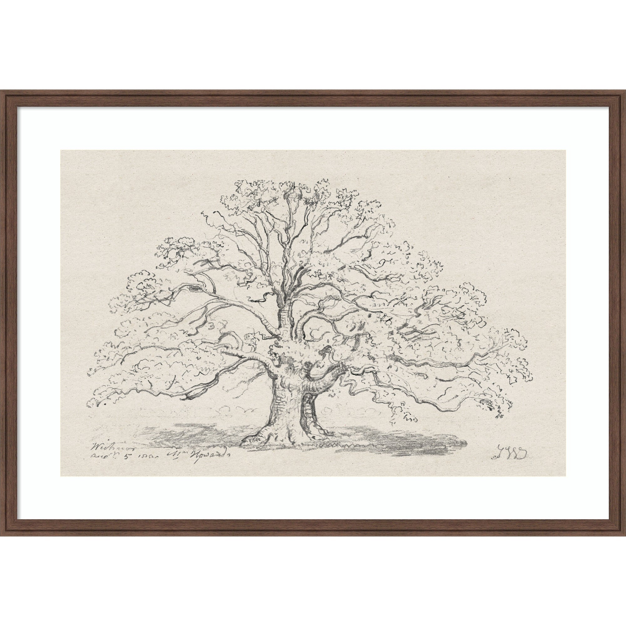 Framed Art 42 x 30 Florence Medium Brown 1