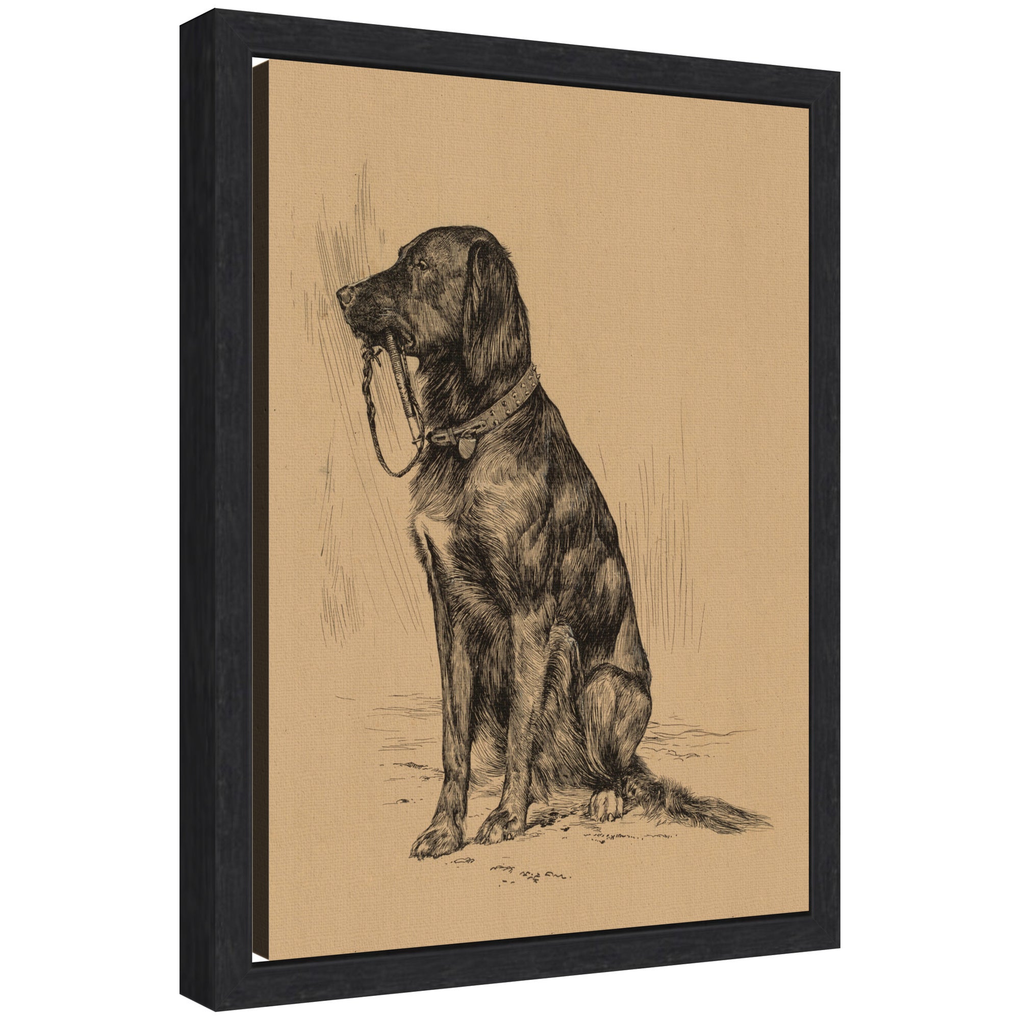 Framed Canvas 10x13 Sylvie Black 1