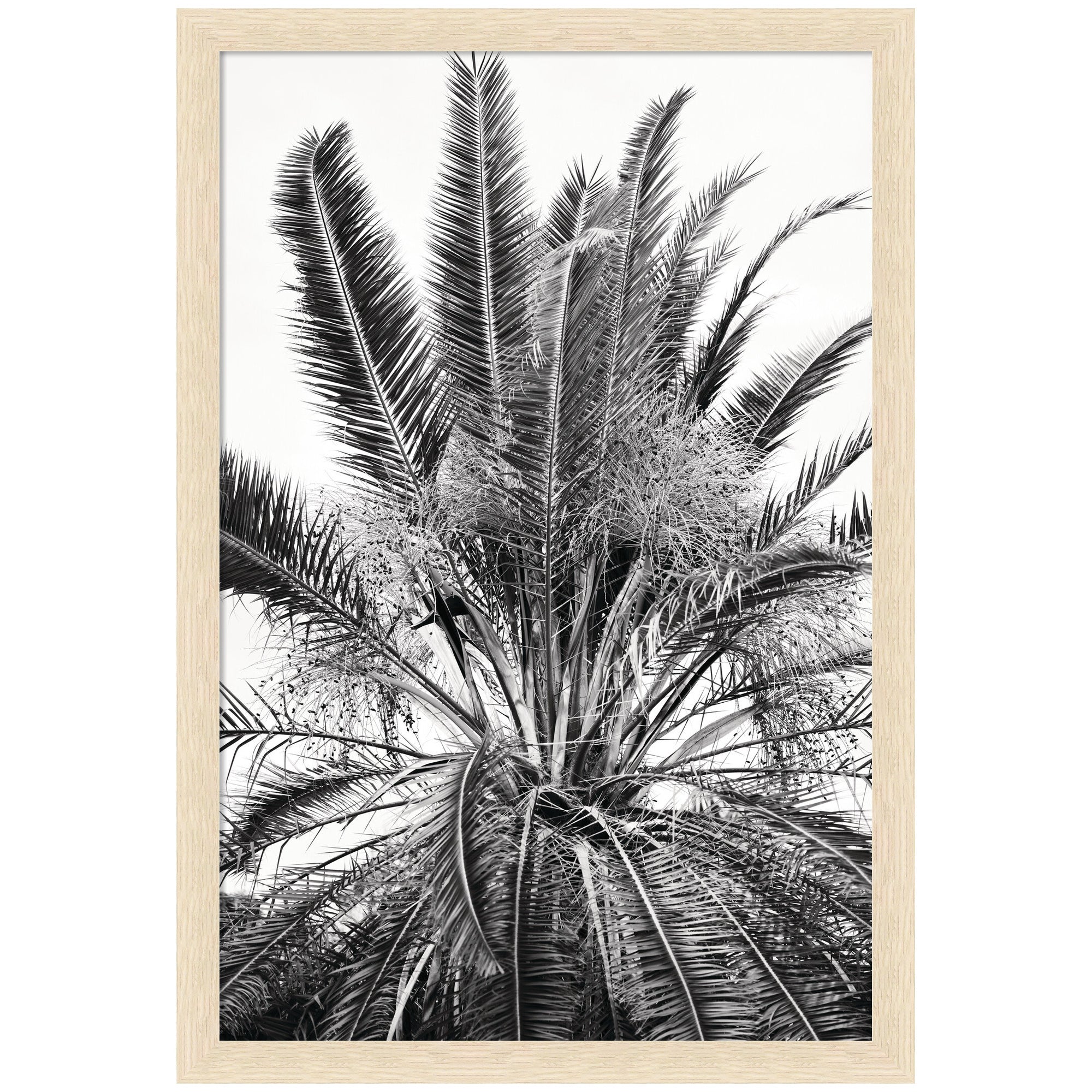 No 15 by Alicia Bock Framed Wall Art Print