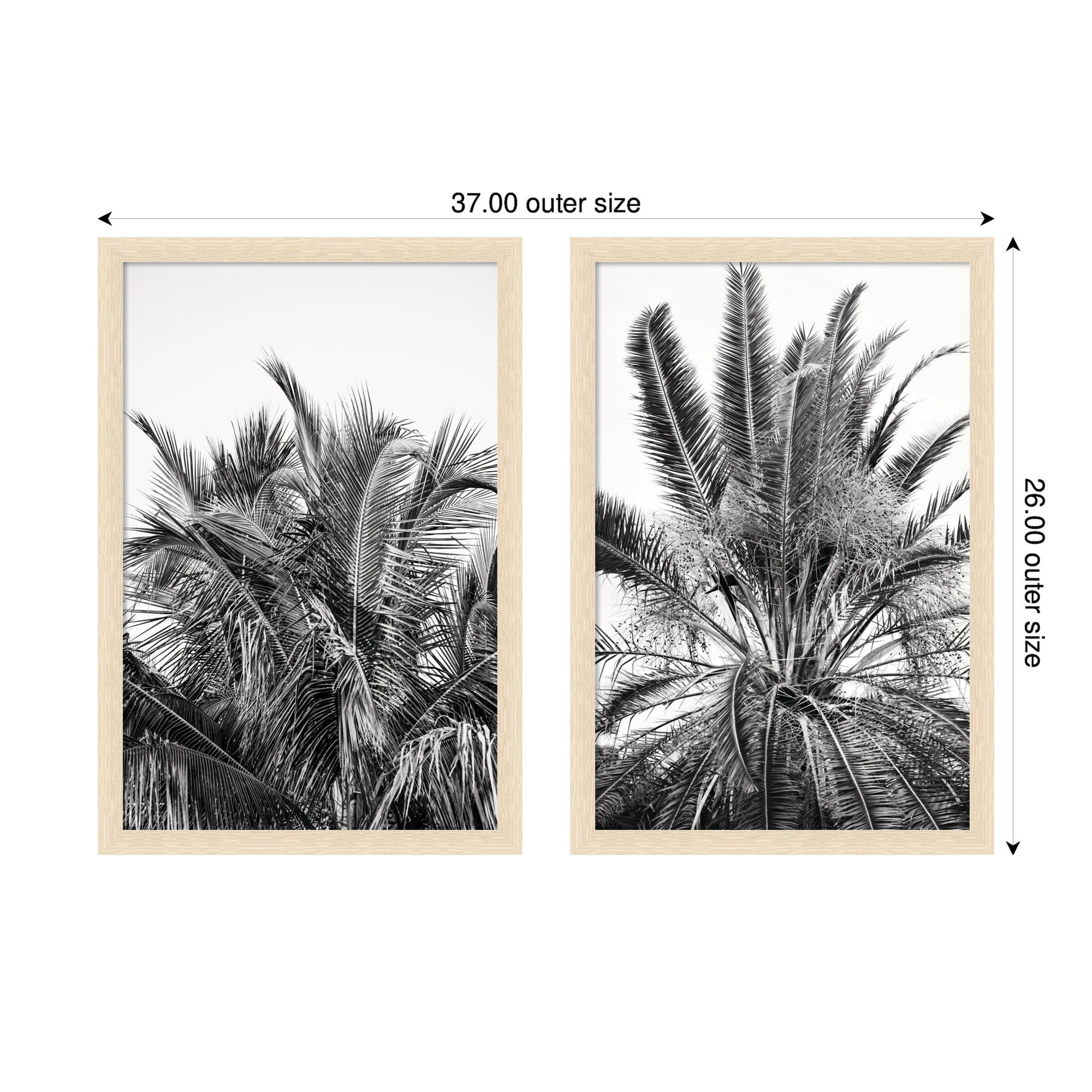 Palm No. 13 & 15 2 Piece Framed Wall Art Print Set by Alicia Bock