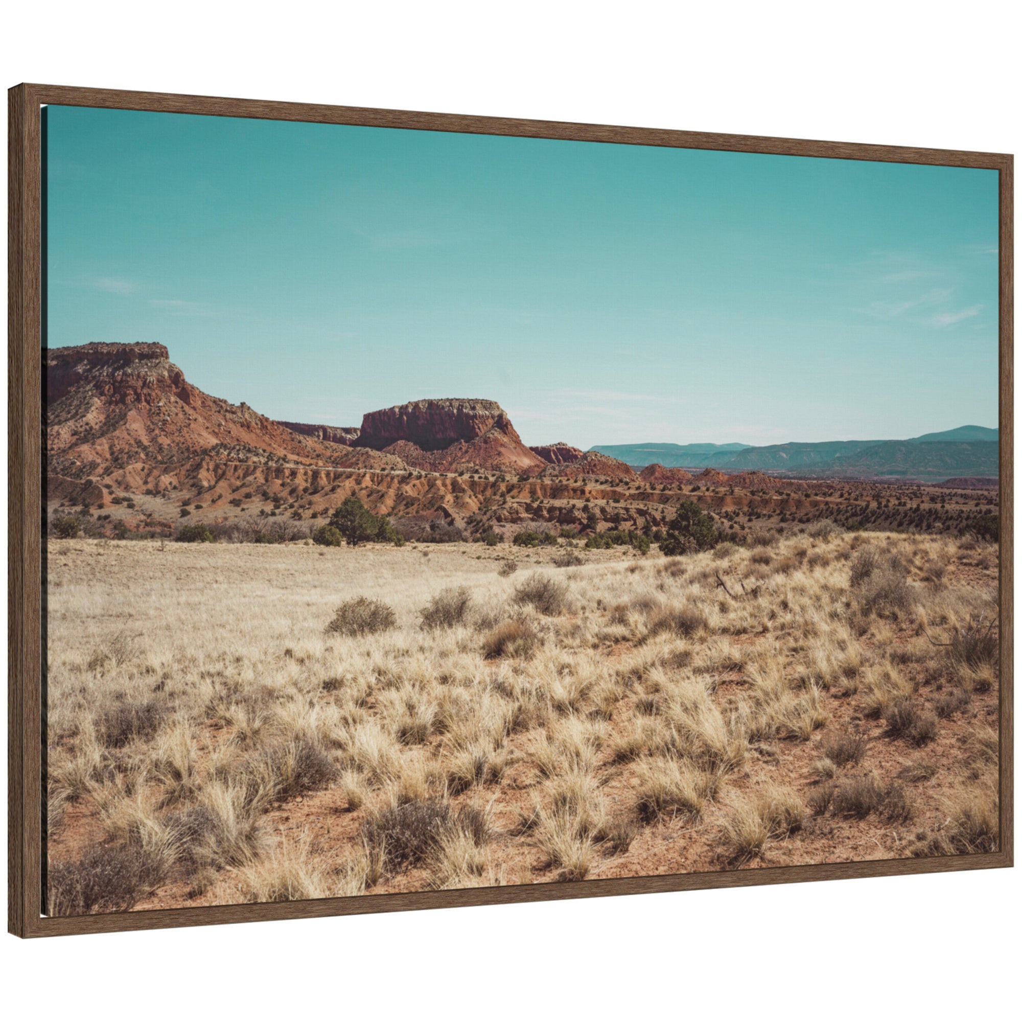 Framed Canvas 33x23 Sylvie Walnut 1