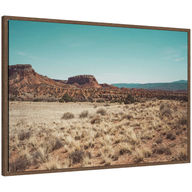 Framed Canvas 33x23 Sylvie Walnut 1