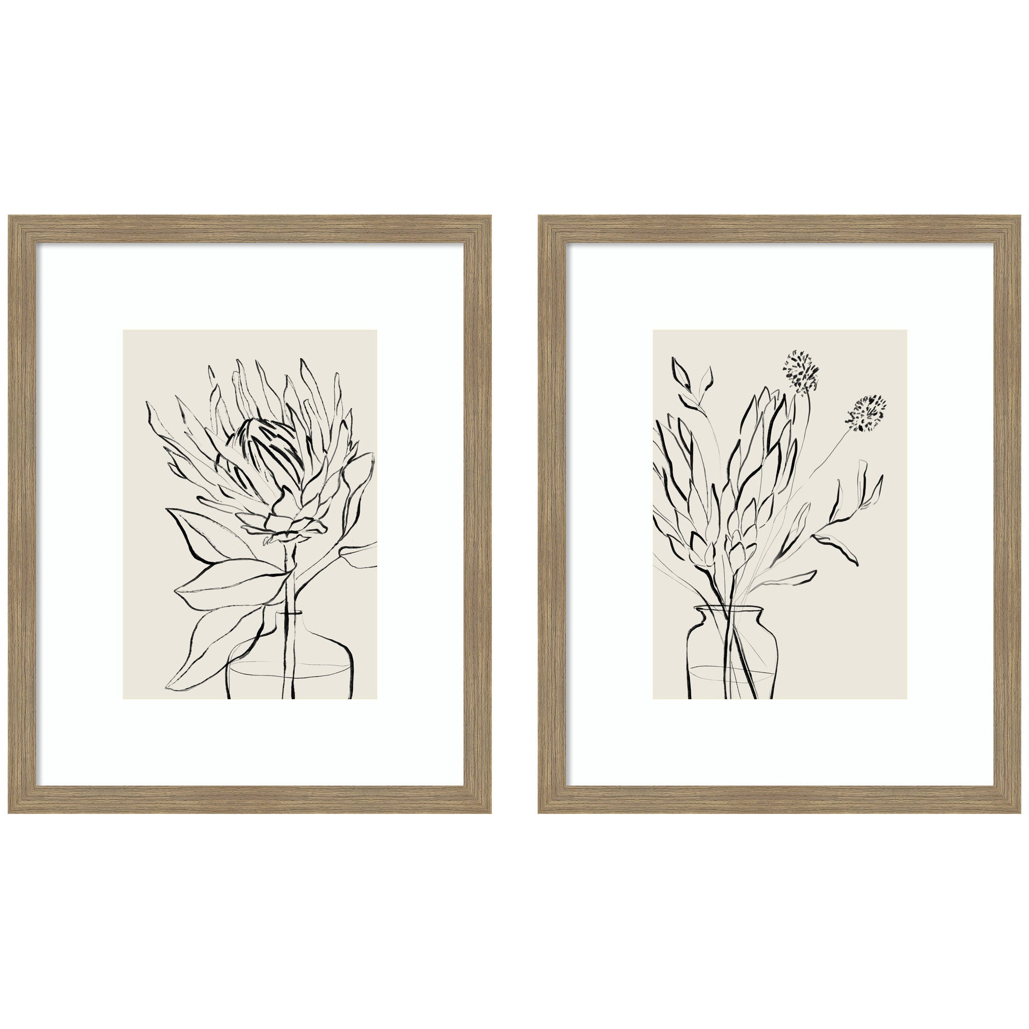 SB Protea Sketch No. 1 & No. 2 2 Piece Framed Wall Art Print Set by Sara Berrenson