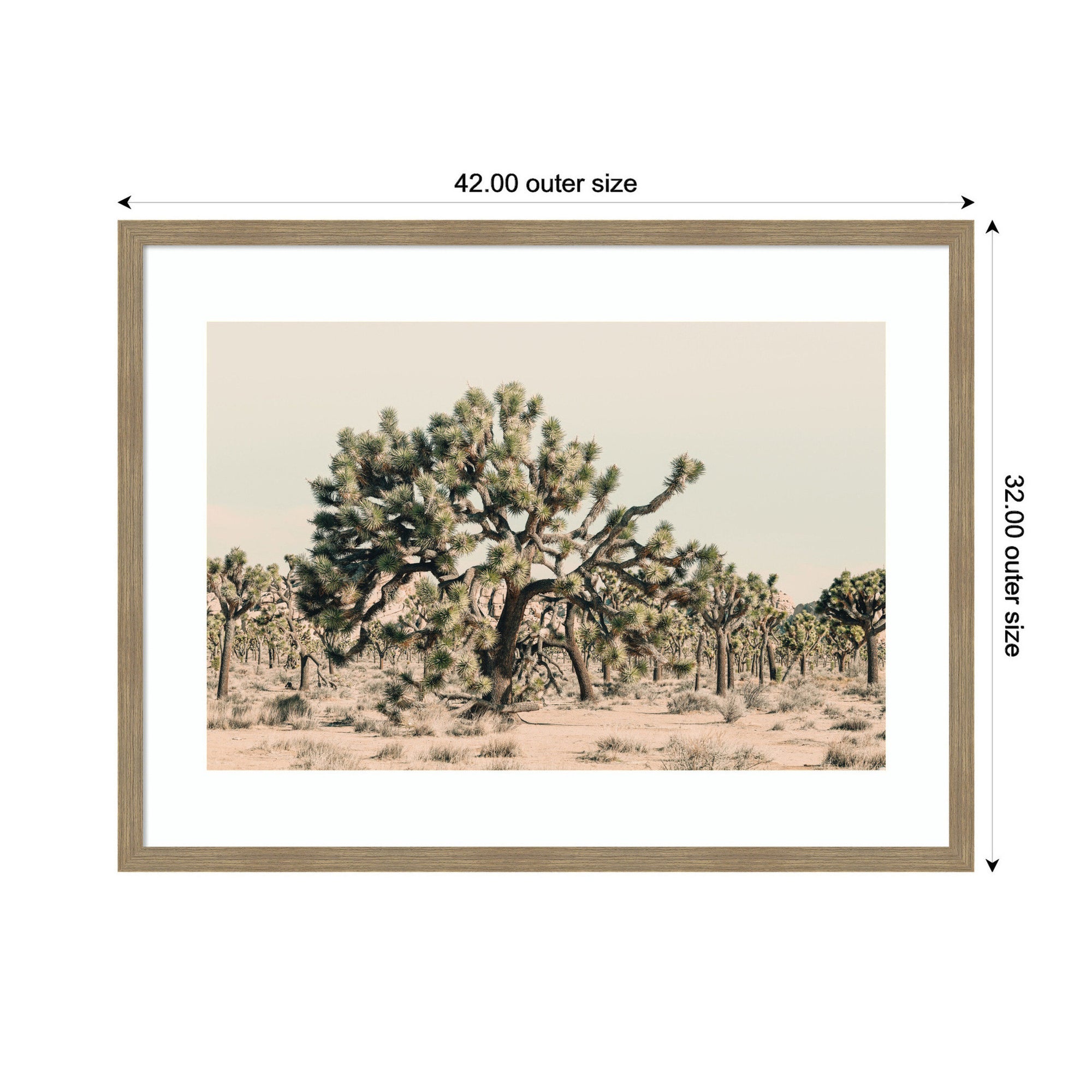 Joshua Tree No. 1 by Alicia Bock Framed Wall Art Print