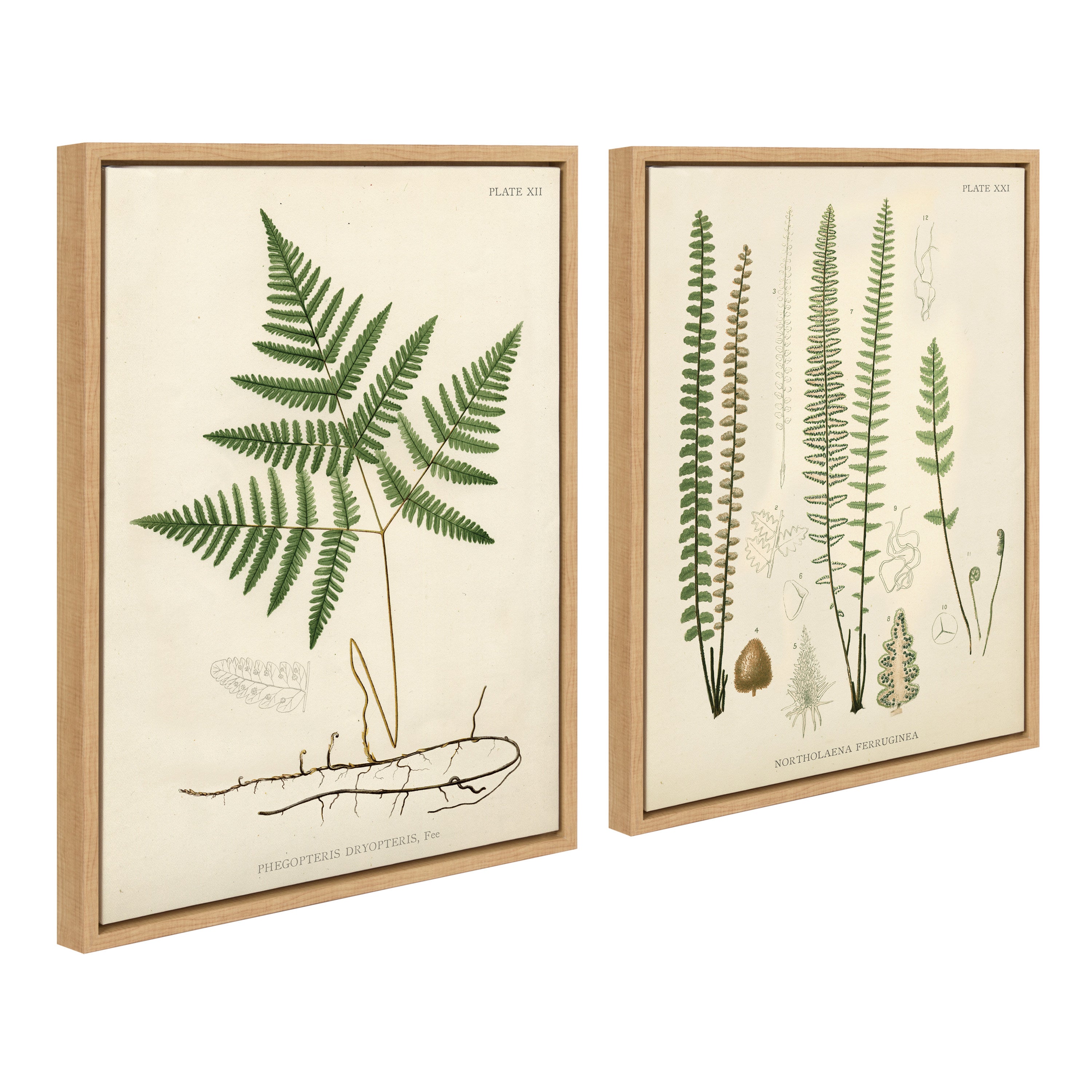 Art Set 2 Piece Set 18x24 Sylvie Natural 2