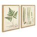 Art Set 2 Piece Set 18x24 Sylvie Natural 2