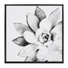 Sylvie Succulent Framed Canvas by Simon Te of Tai Prints