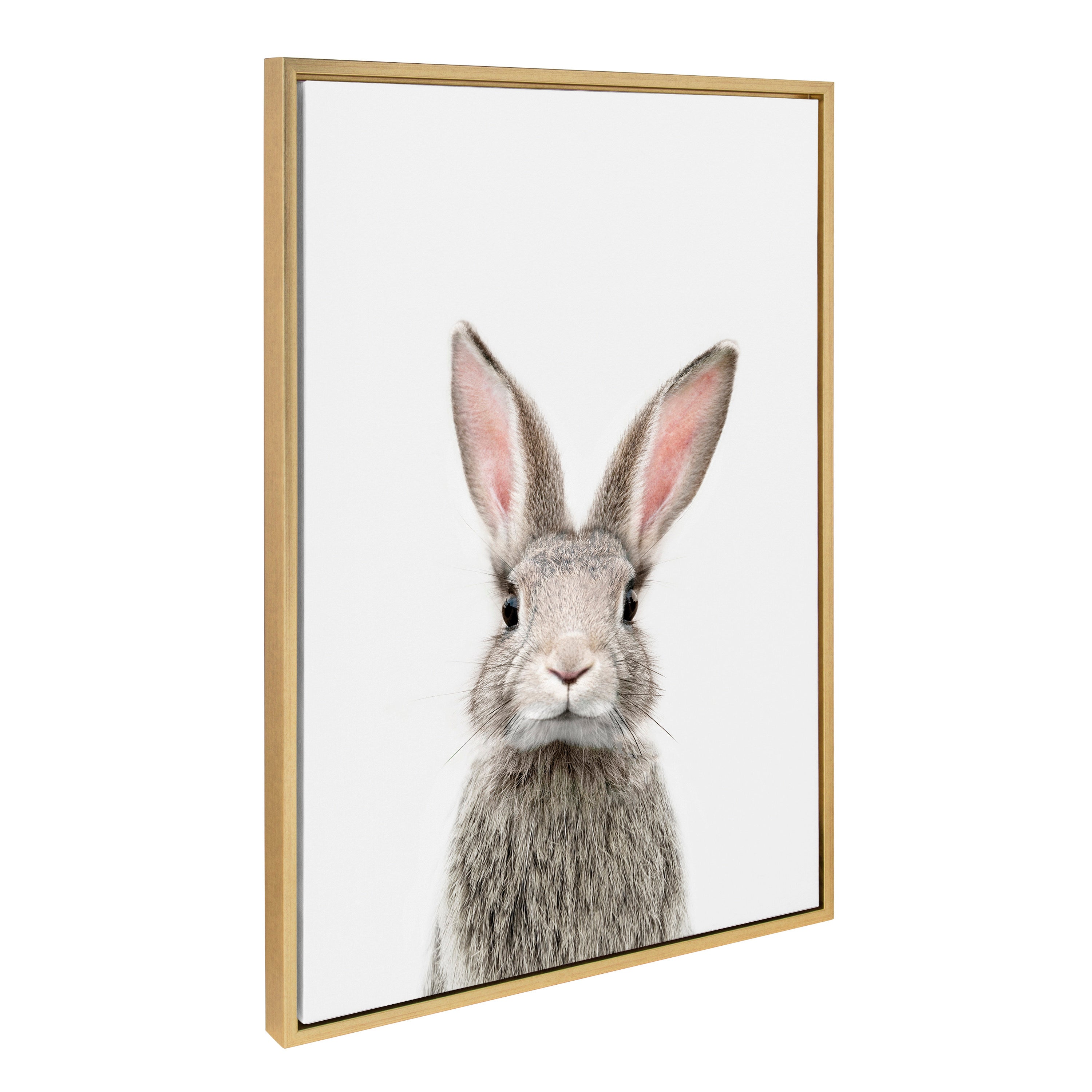 Sylvie Young Rabbit Framed Canvas by Amy Peterson Art Studio