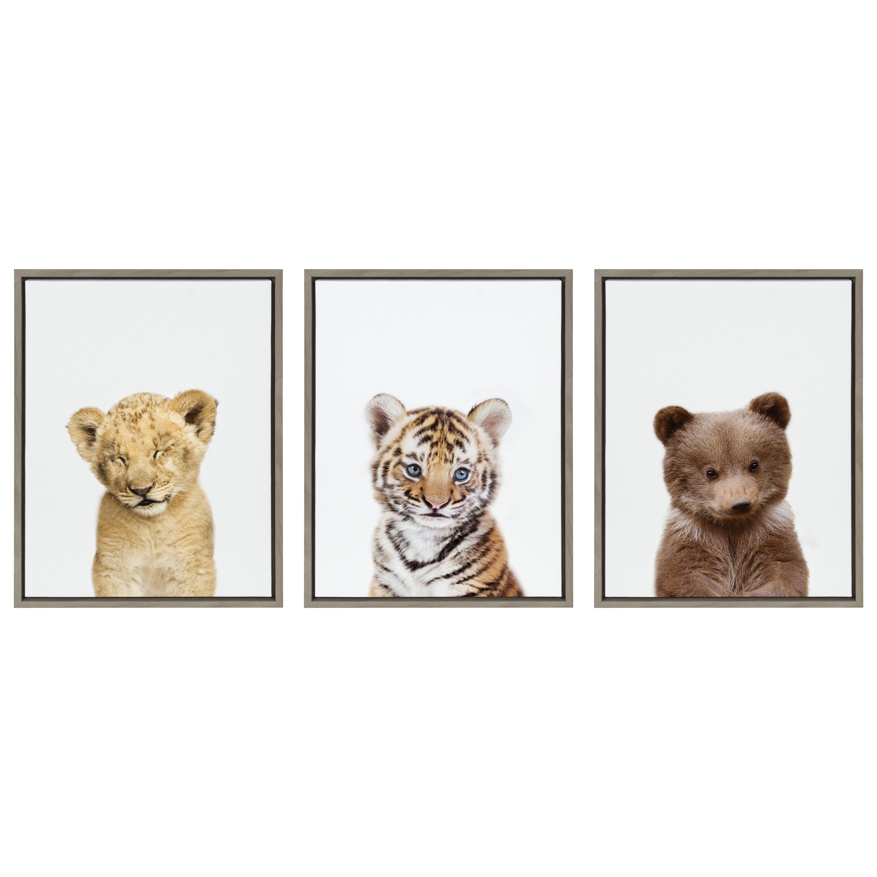 Sylvie Lions and Tigers and Bears Framed Canvas Art Set by Amy Peterson Art Studio