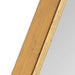 Full Length Mirror Gold 16x48 3
