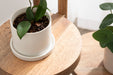 Plant Stand Natural 16x16x35 6