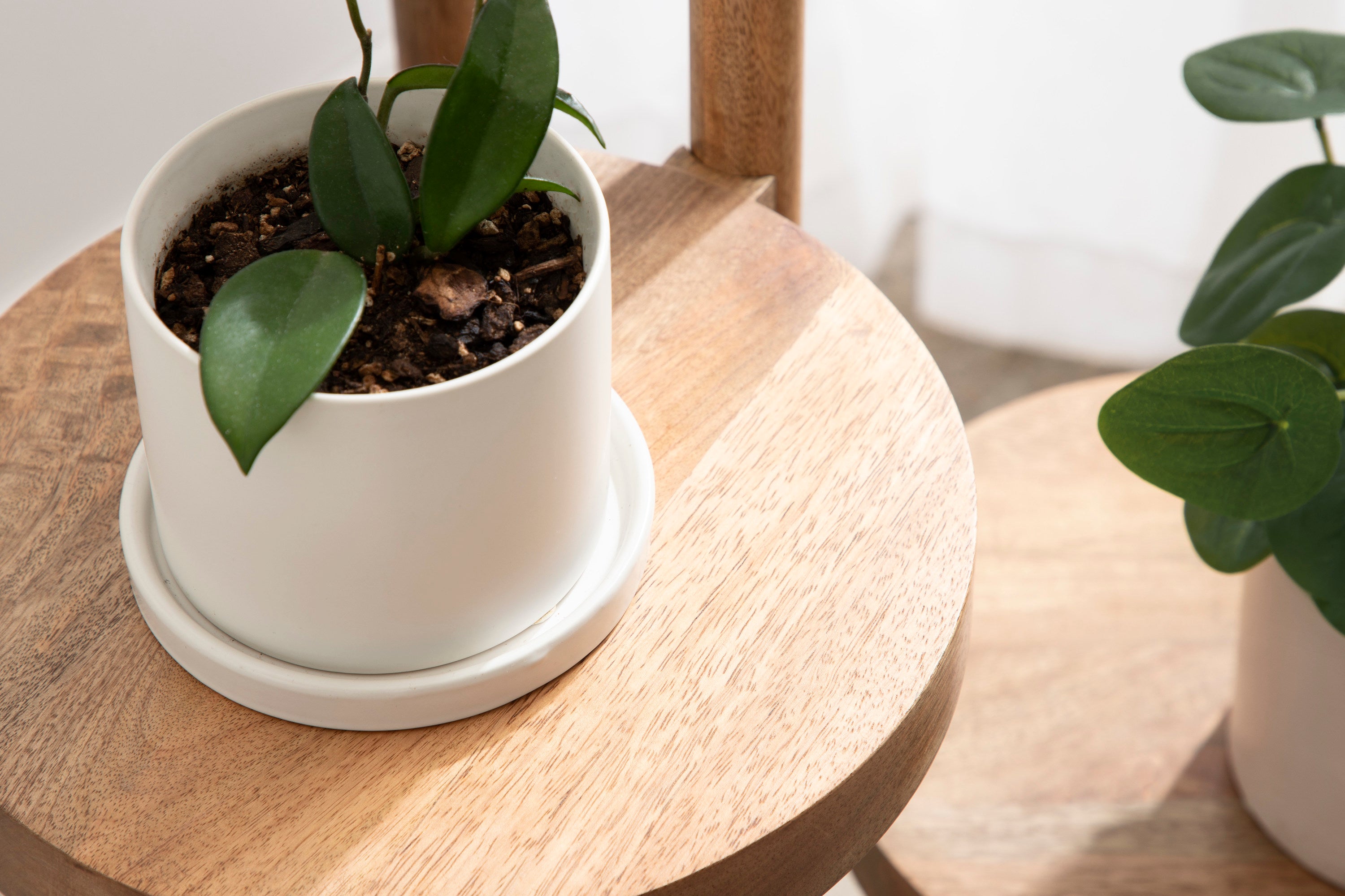 Plant Stand Natural 16x16x35 6