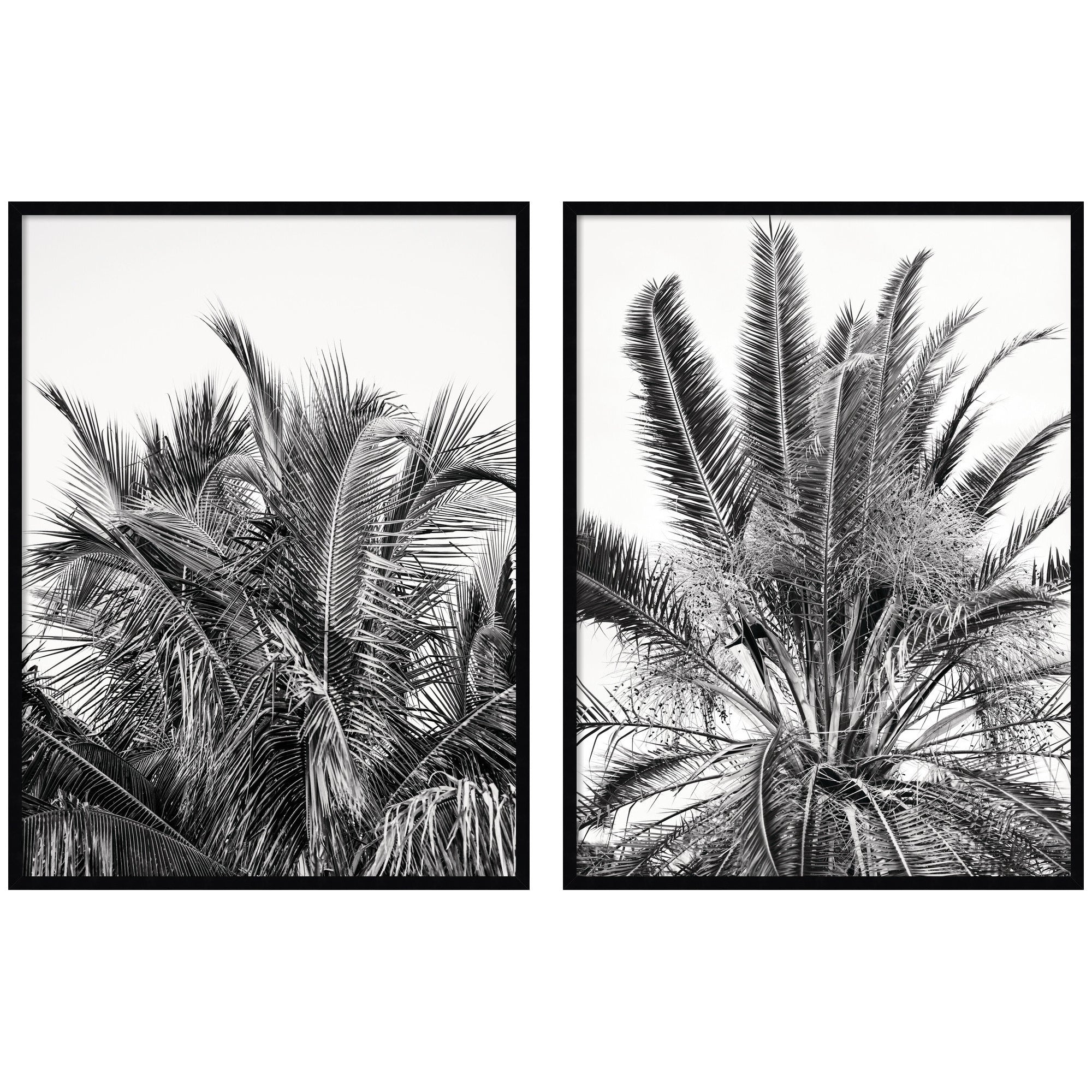 Palm No. 13 & 15 2 Piece Framed Wall Art Print Set by Alicia Bock