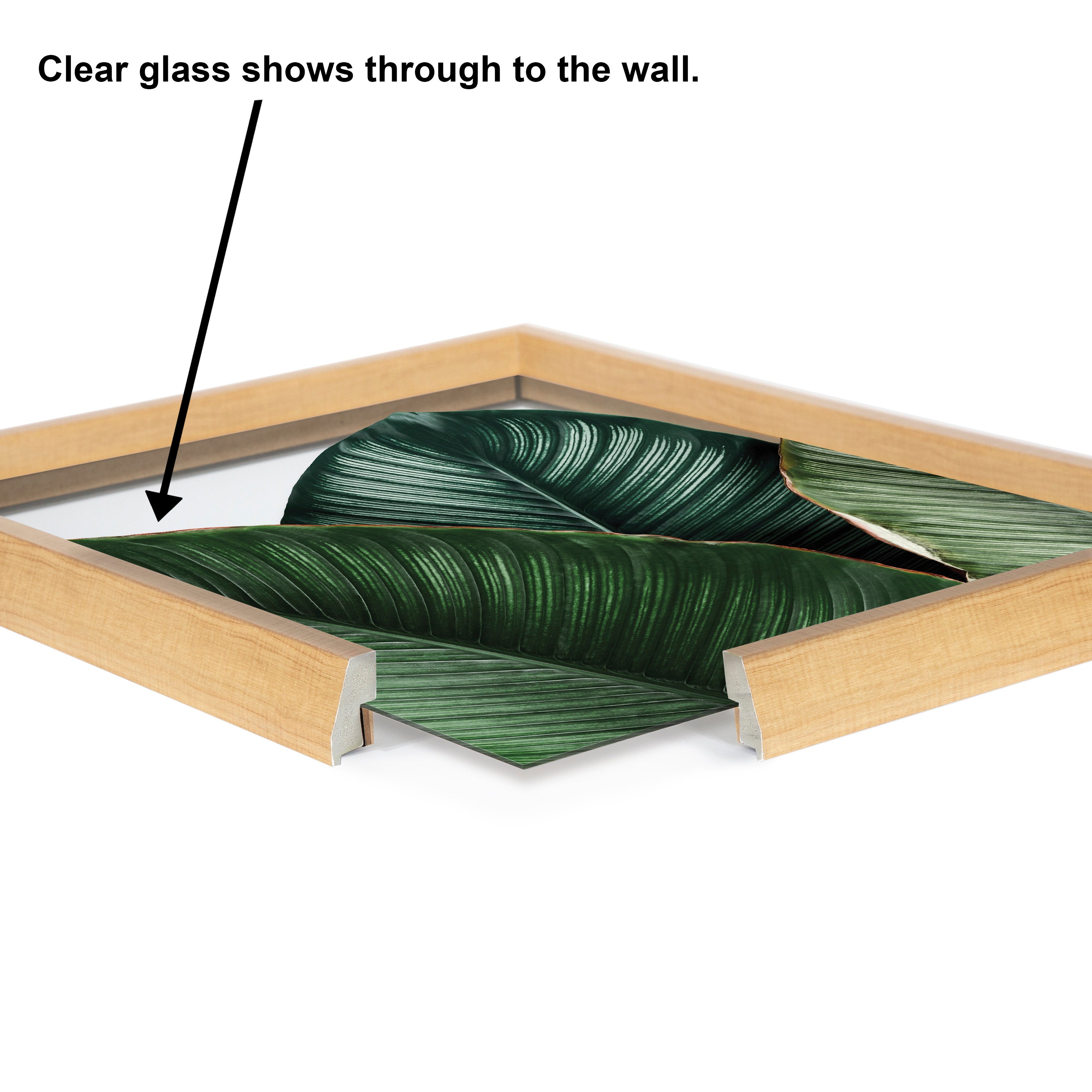 Blake Tropical Palm Leaves Framed Printed Glass by Amy Peterson Art Studio
