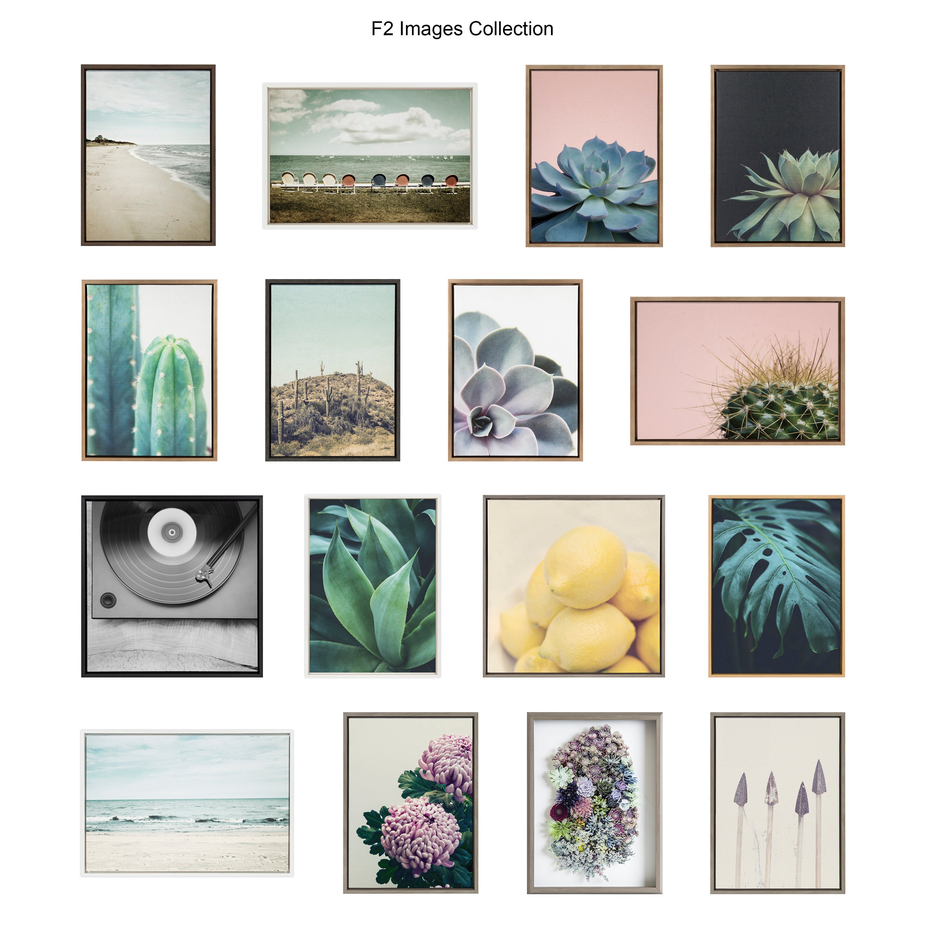 Blake Succulent 5 Framed Printed Glass by Emiko and Mark Franzen of F2Images