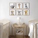 Framed Canvas Natural 6 Piece 13x13 7
