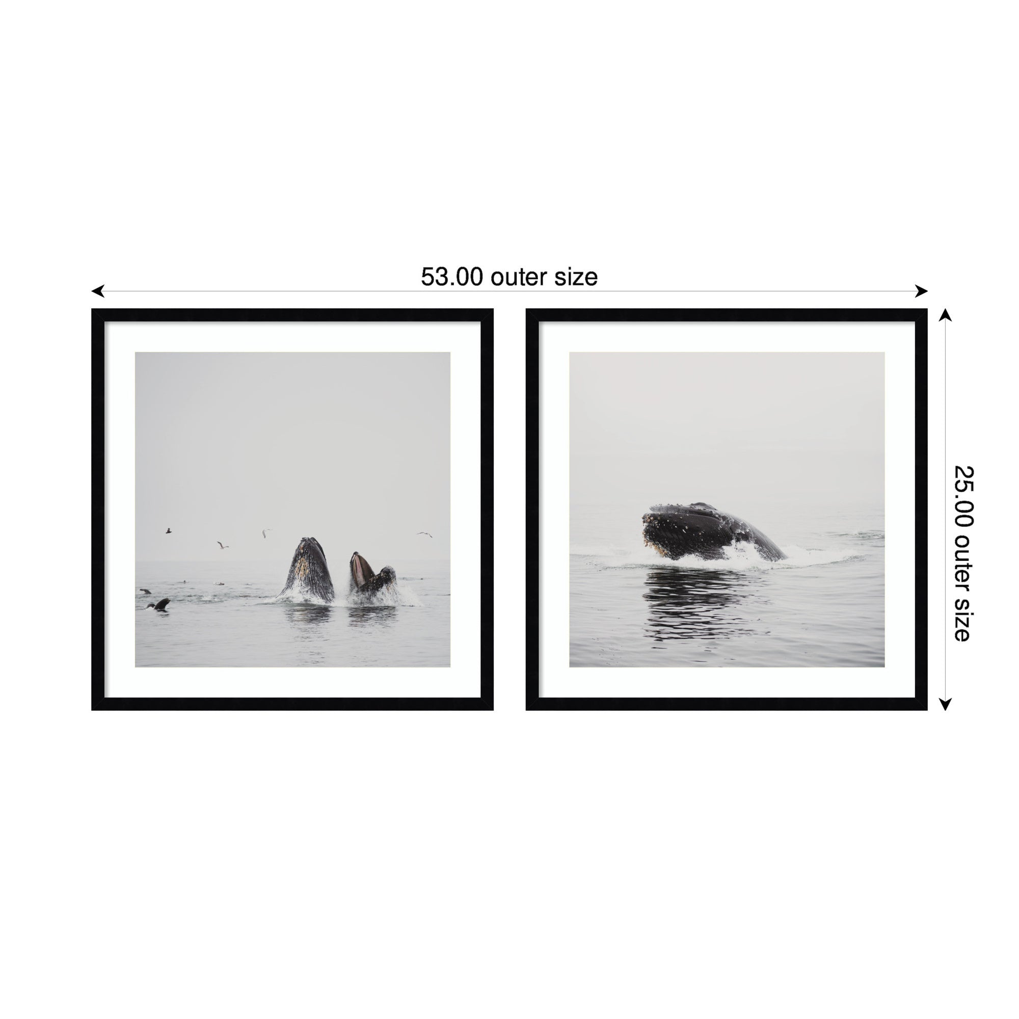 Framed Art Set Svelte Noir Black 2 Piece Set 25x25 2