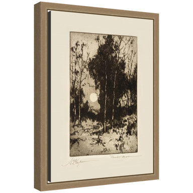 Framed Canvas 10x13 Sylvie Dark Gold 1