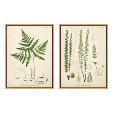 Art Set 2 Piece Set 18x24 Sylvie Natural 1