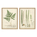 Art Set 2 Piece Set 18x24 Sylvie Natural 1