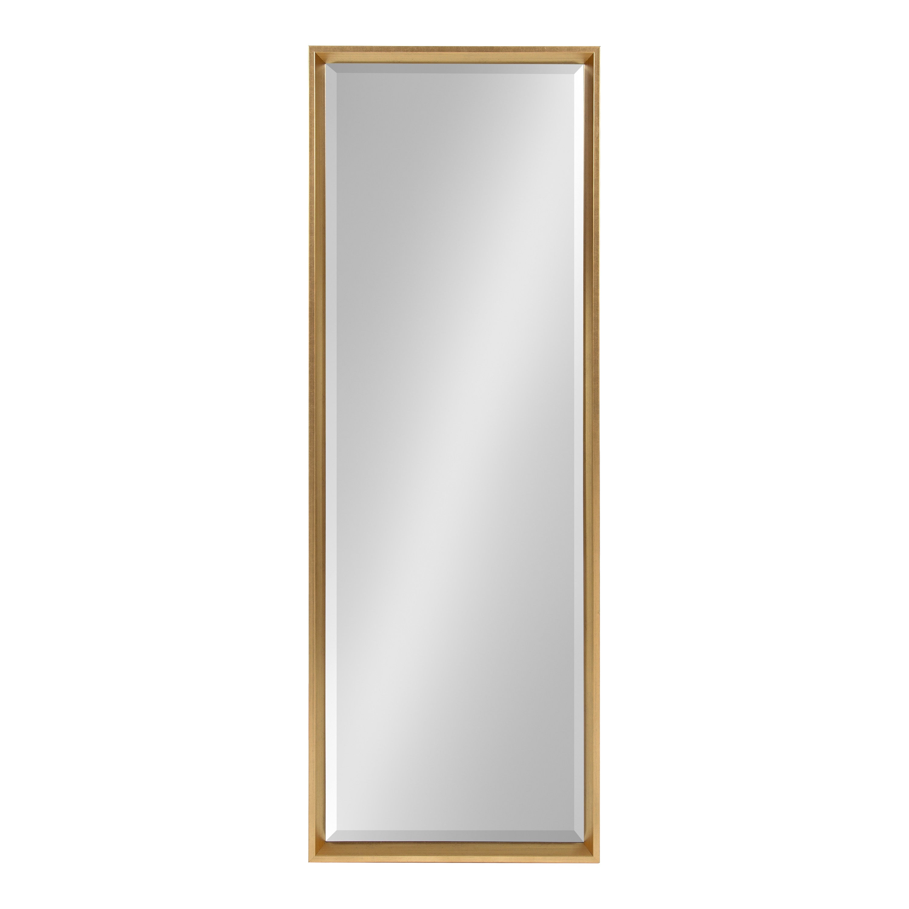 Full Length Mirror Gold 17.5x49.5 2