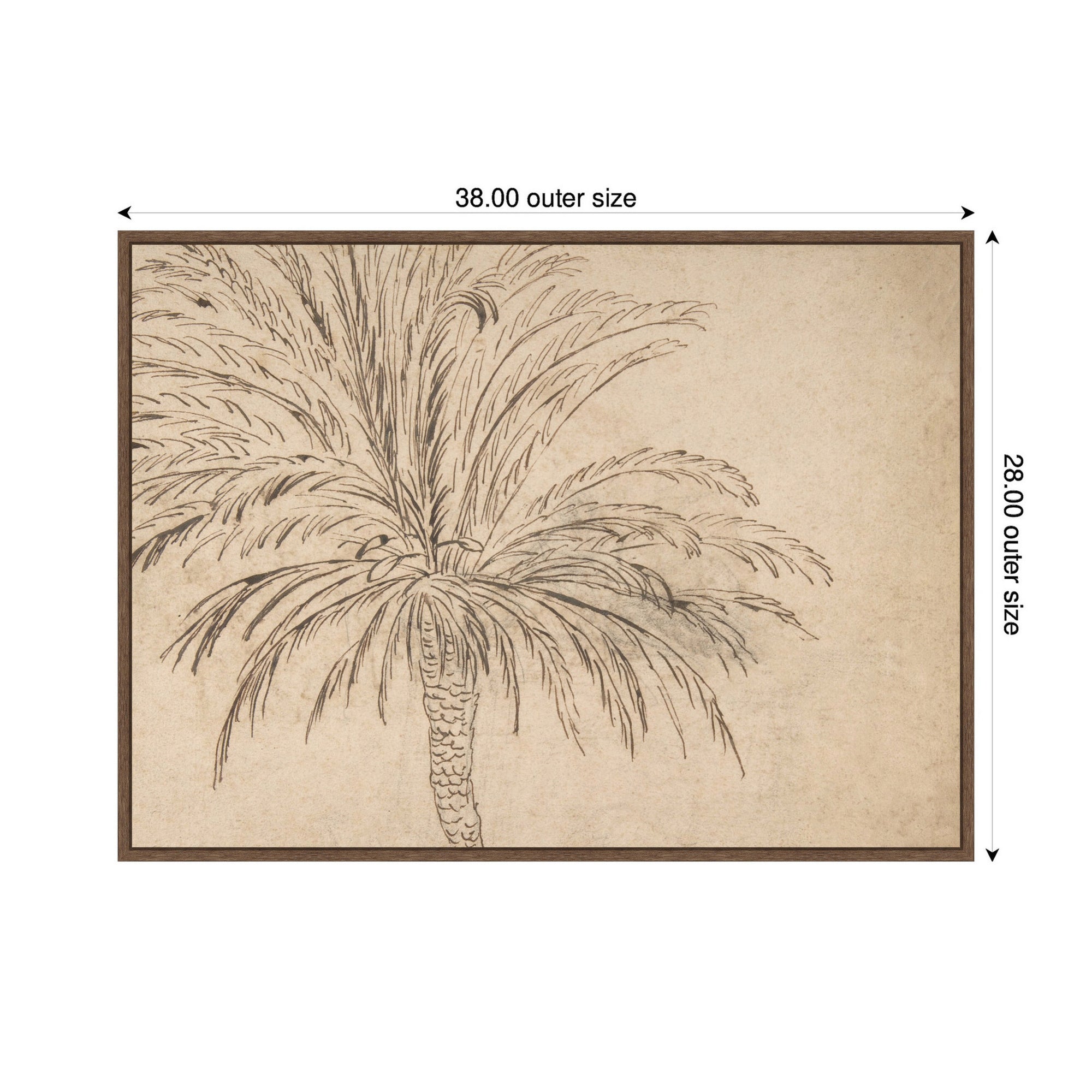 Framed Canvas 38x28 Sylvie Walnut 2
