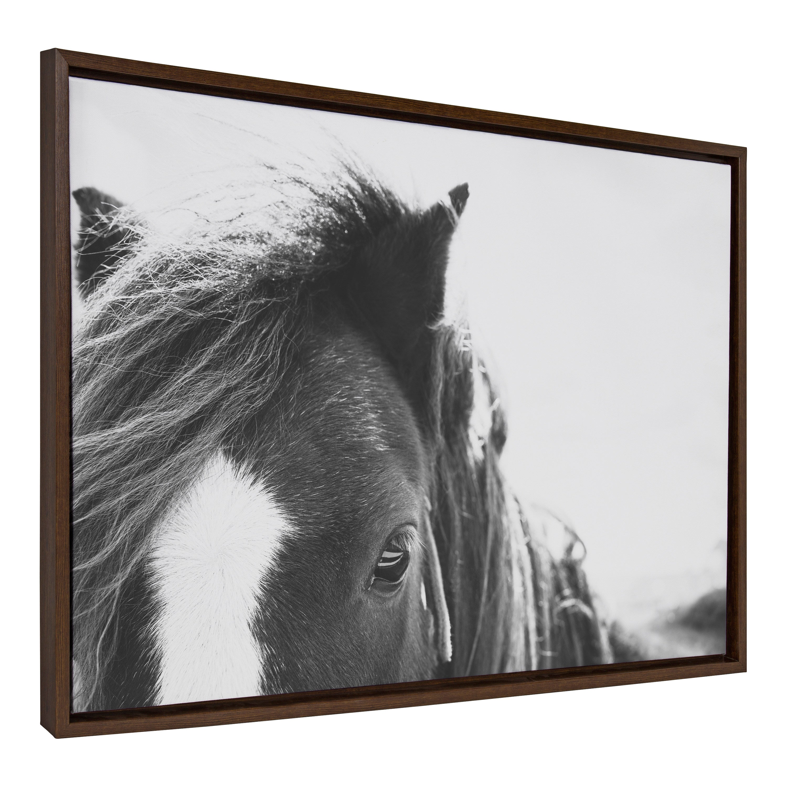 Framed Canvas 23x33 Sylvie Walnut 2