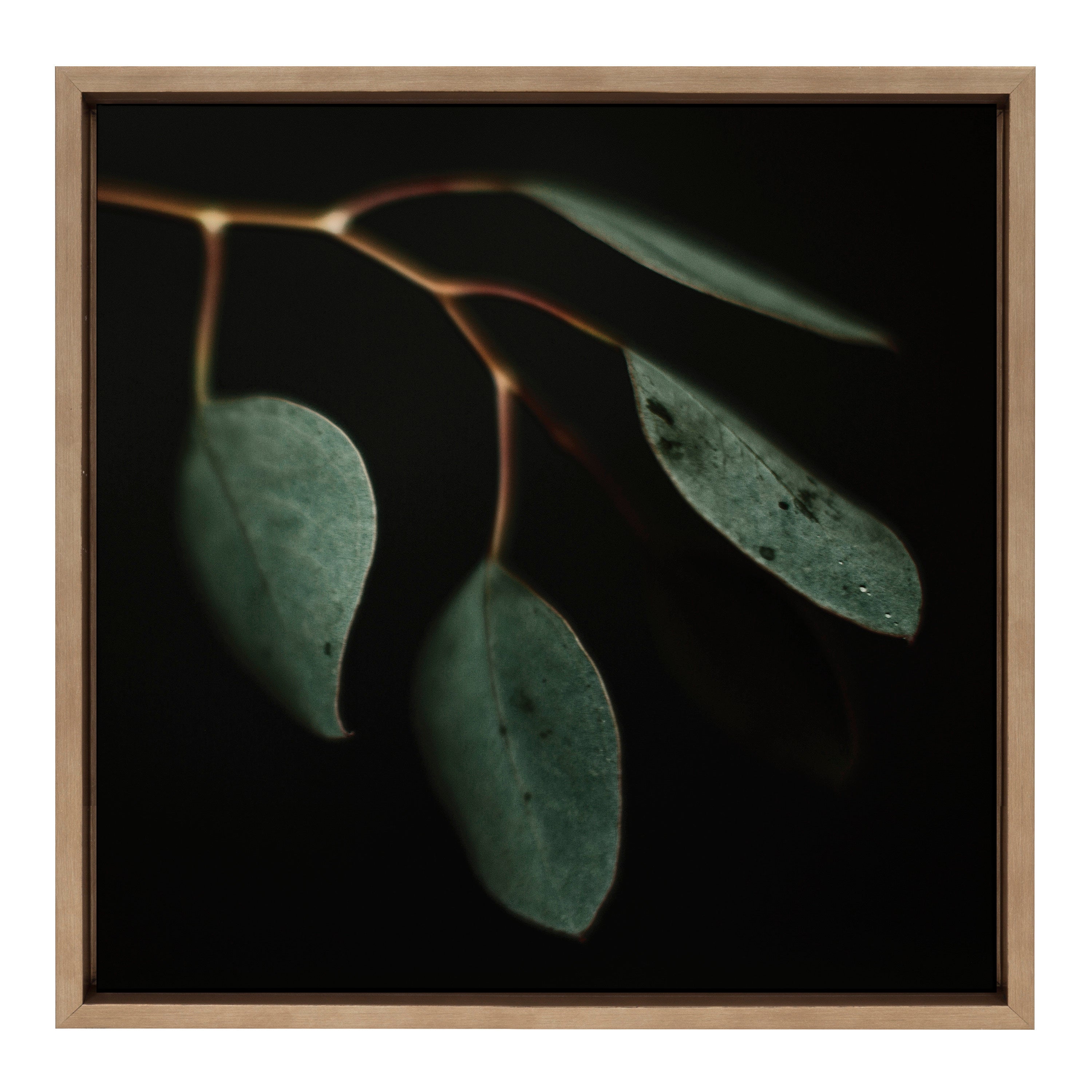 Framed Canvas 22x22 Sylvie Dark Gold 1