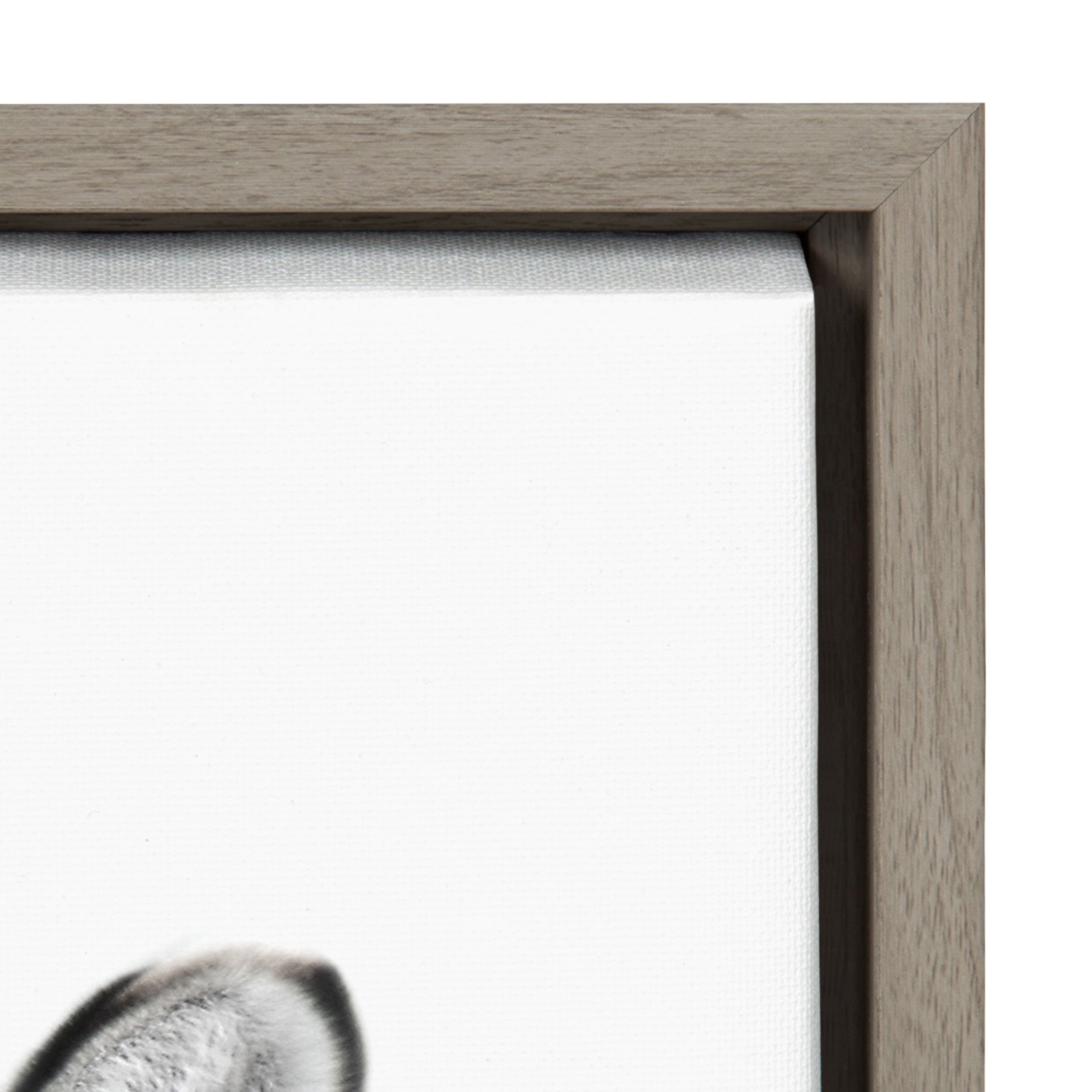 Framed Canvas Sylvie Graywash 18x24 3