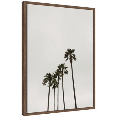 Framed Canvas 18x24 Sylvie Walnut 1