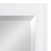 Rectangle Mirror White 19.5x51.5 3