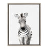 Sylvie Baby Zebra Framed Canvas by Amy Peterson
