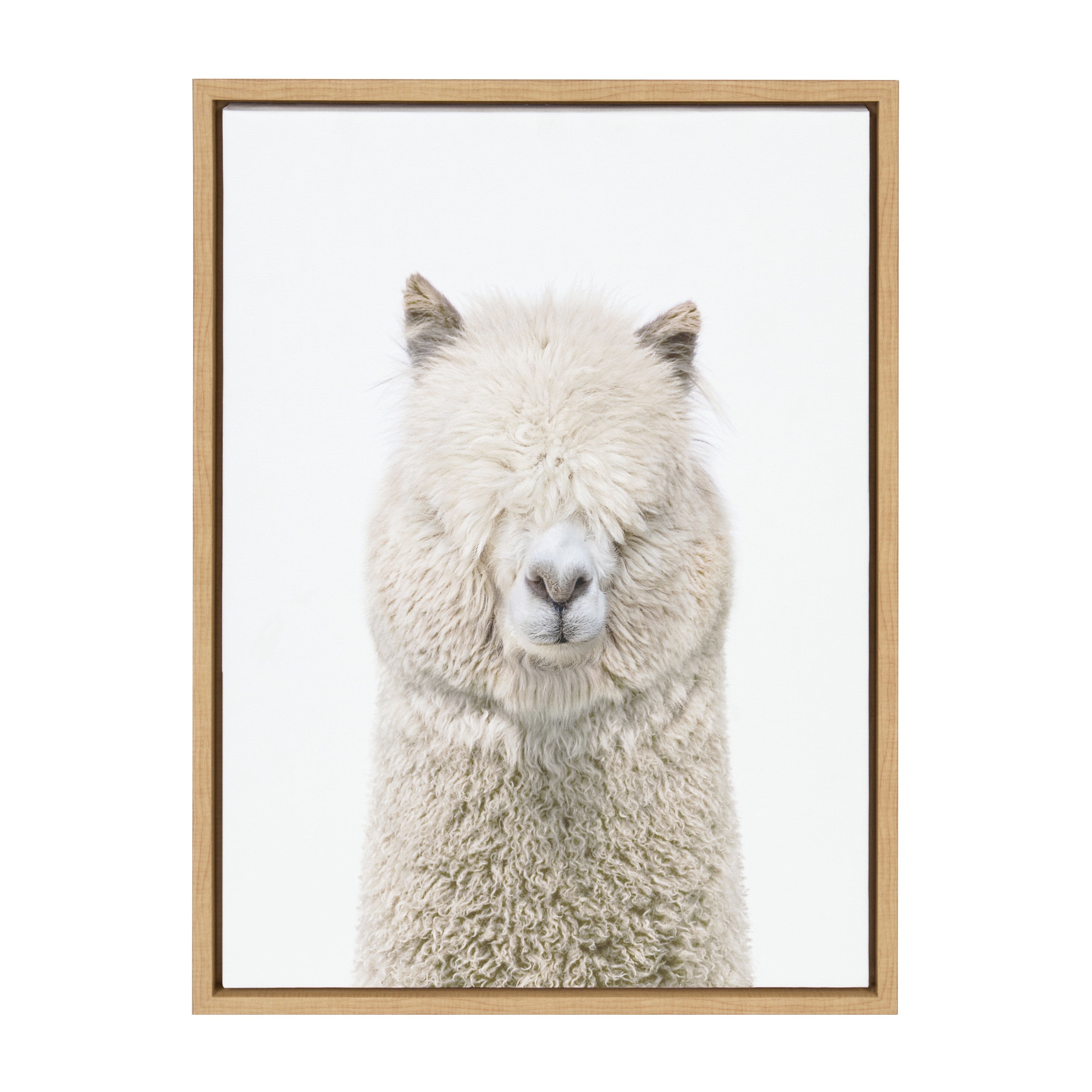 Framed Canvas Sylvie Natural 18x24 2