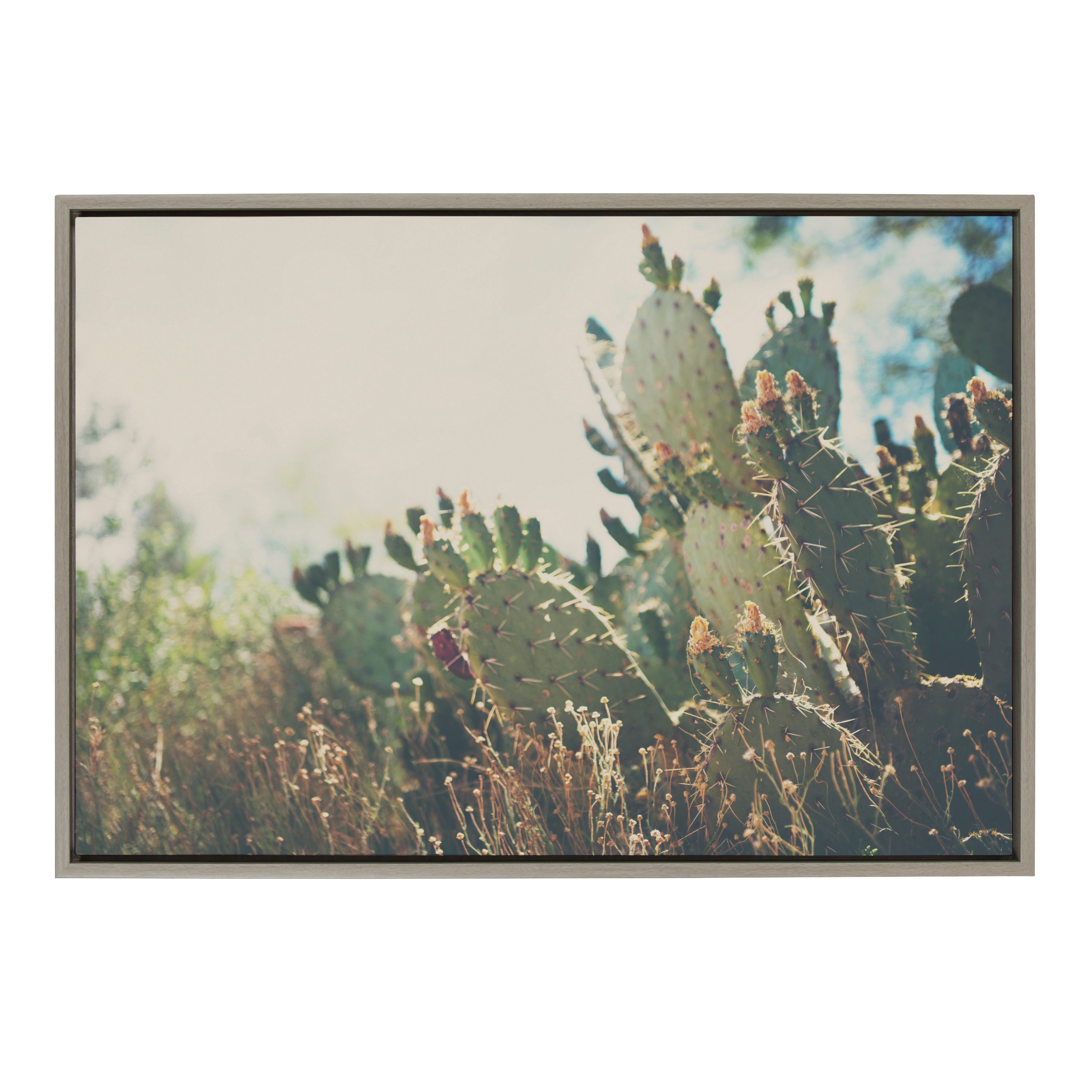 Framed Canvas Sylvie Graywash 23x33 2