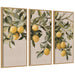 Art Set Sylvie Natural 3 Piece Set 18x40 1