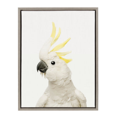 Framed Canvas Sylvie Graywash 18x24 1