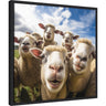 Funny Lamb Selfie by The Creative Bunch Studio