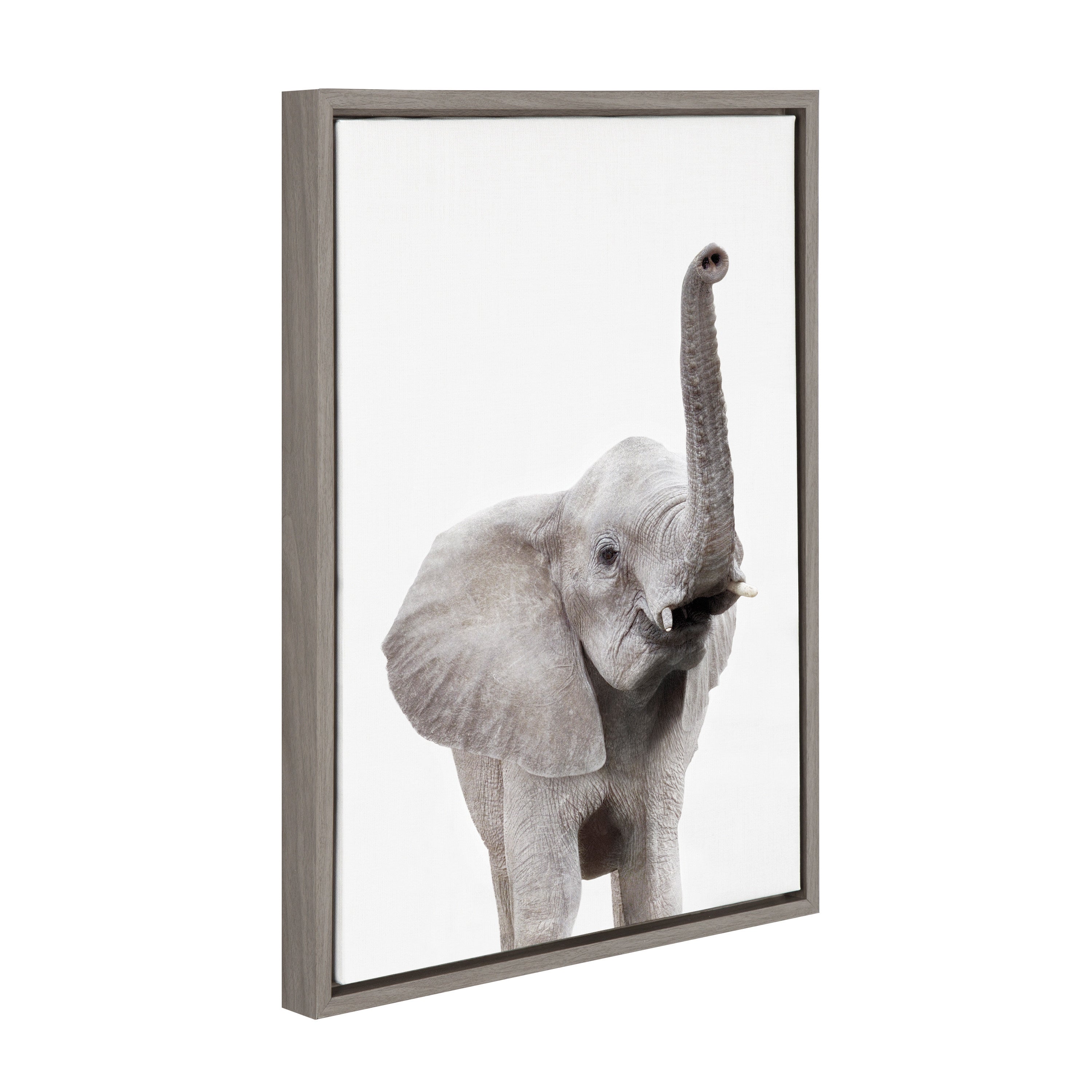 Sylvie Young Elephant Framed Canvas by Amy Peterson