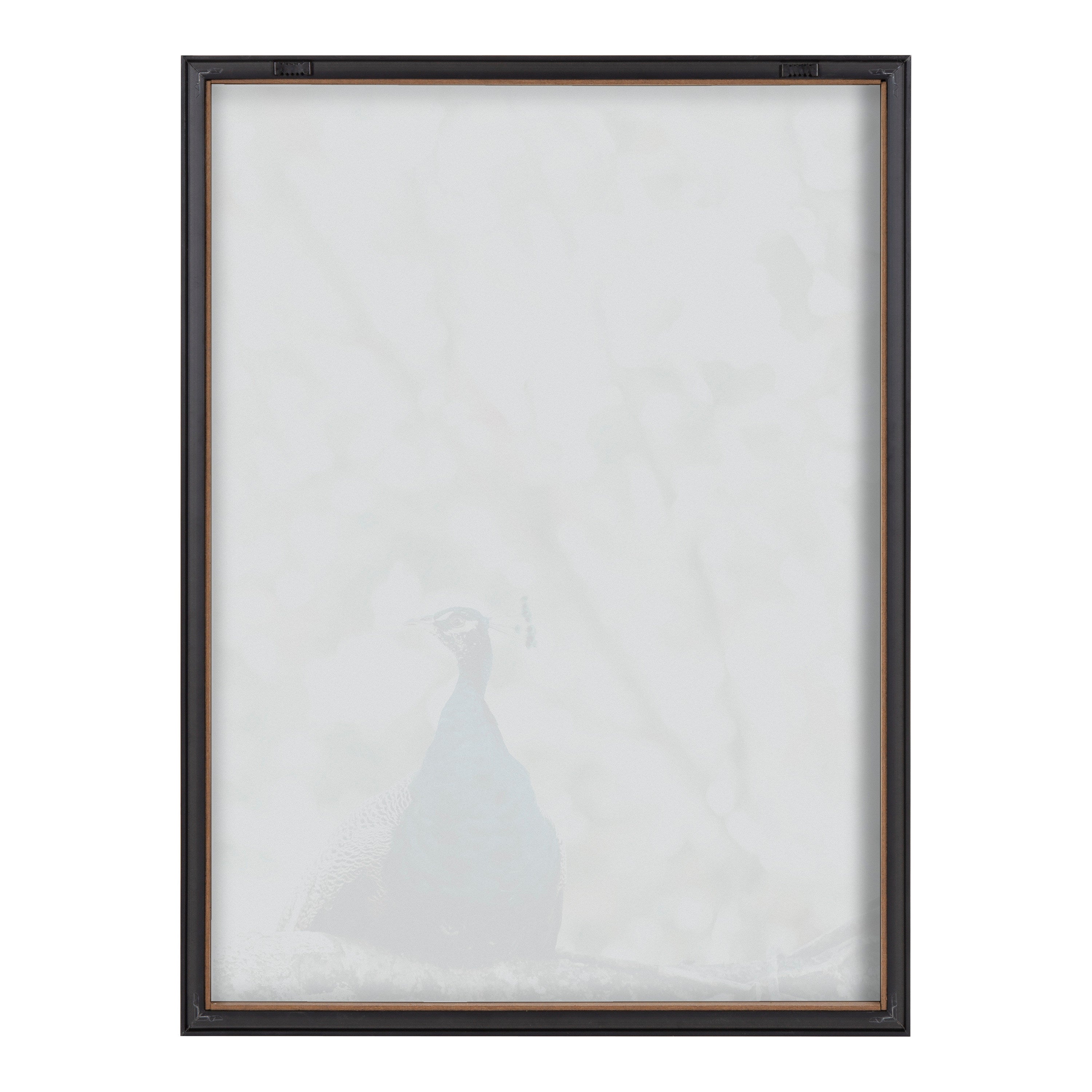 Blake Peacock Framed Printed Glass by Alicia Abla