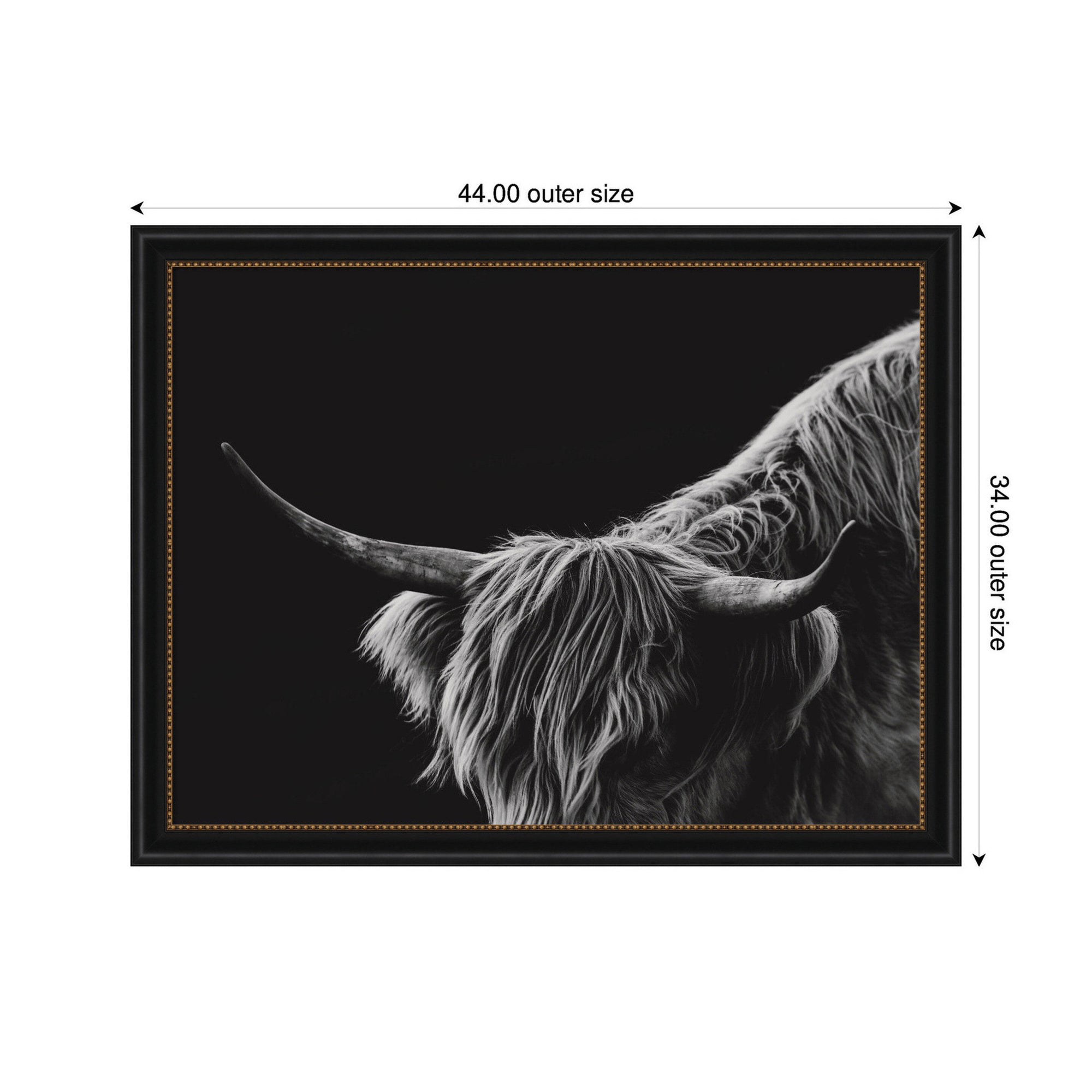 Scottish Highland No. 6 by Crystal Lynn Collins Framed Wall Art Print