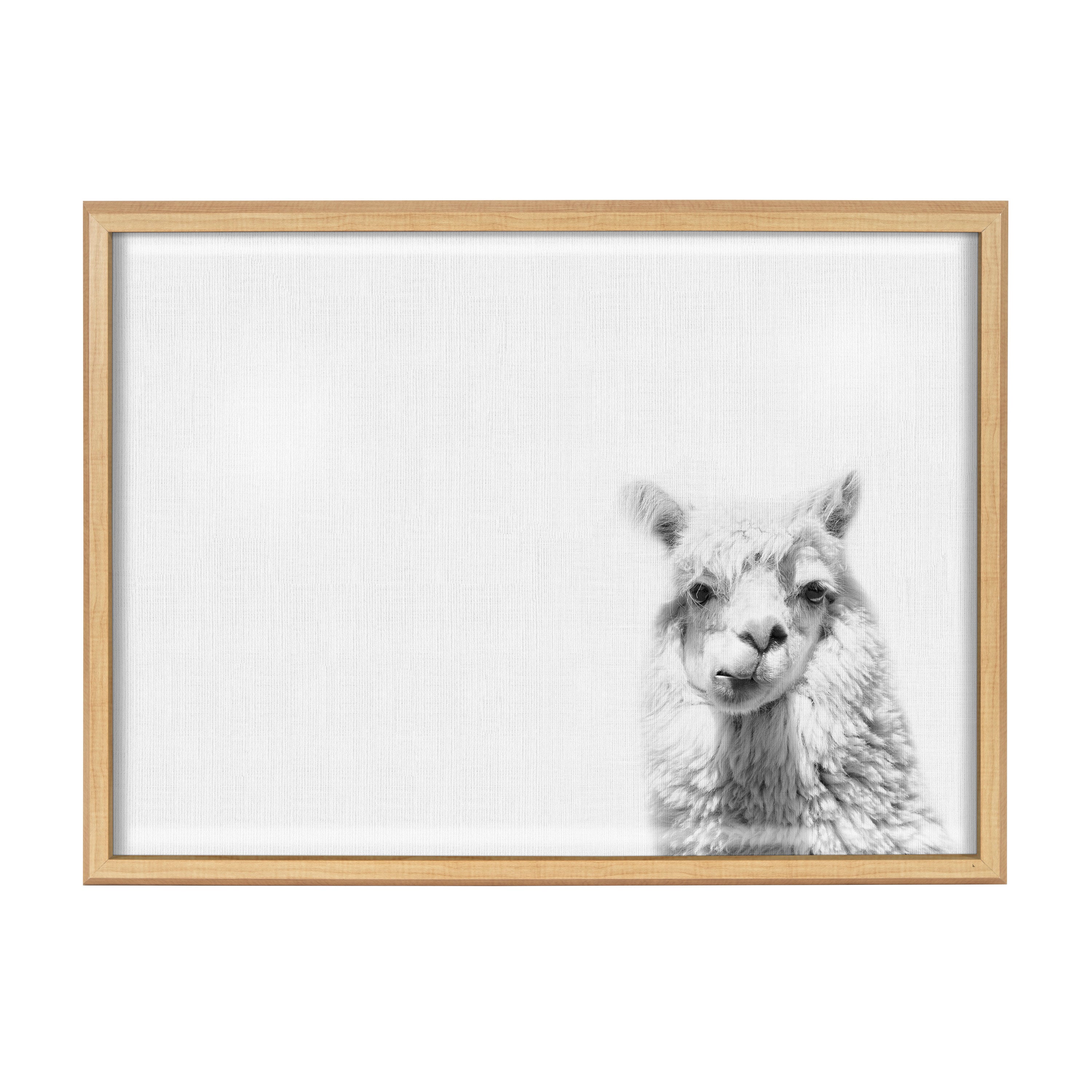 Blake Alpaca Framed Printed Glass by Simon Te of Tai Prints