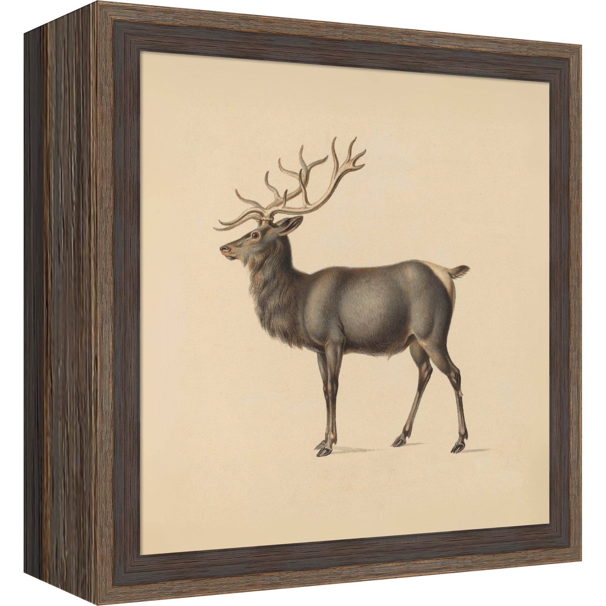 Mounted Canvas Hardwood Wedge Mocha 11x11 1