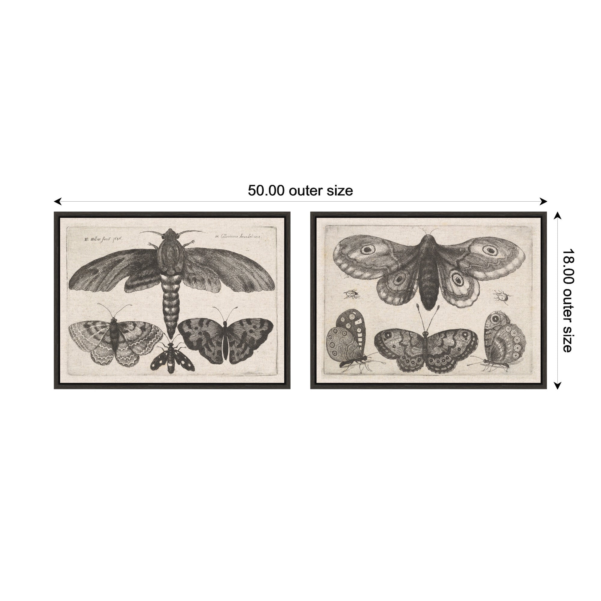 Art Set 2 Piece Set 18x24 Sylvie Dark Gray 2