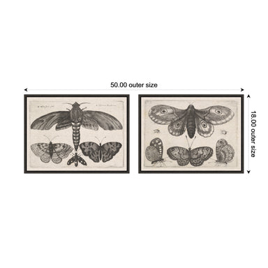 Art Set 2 Piece Set 18x24 Sylvie Dark Gray 2