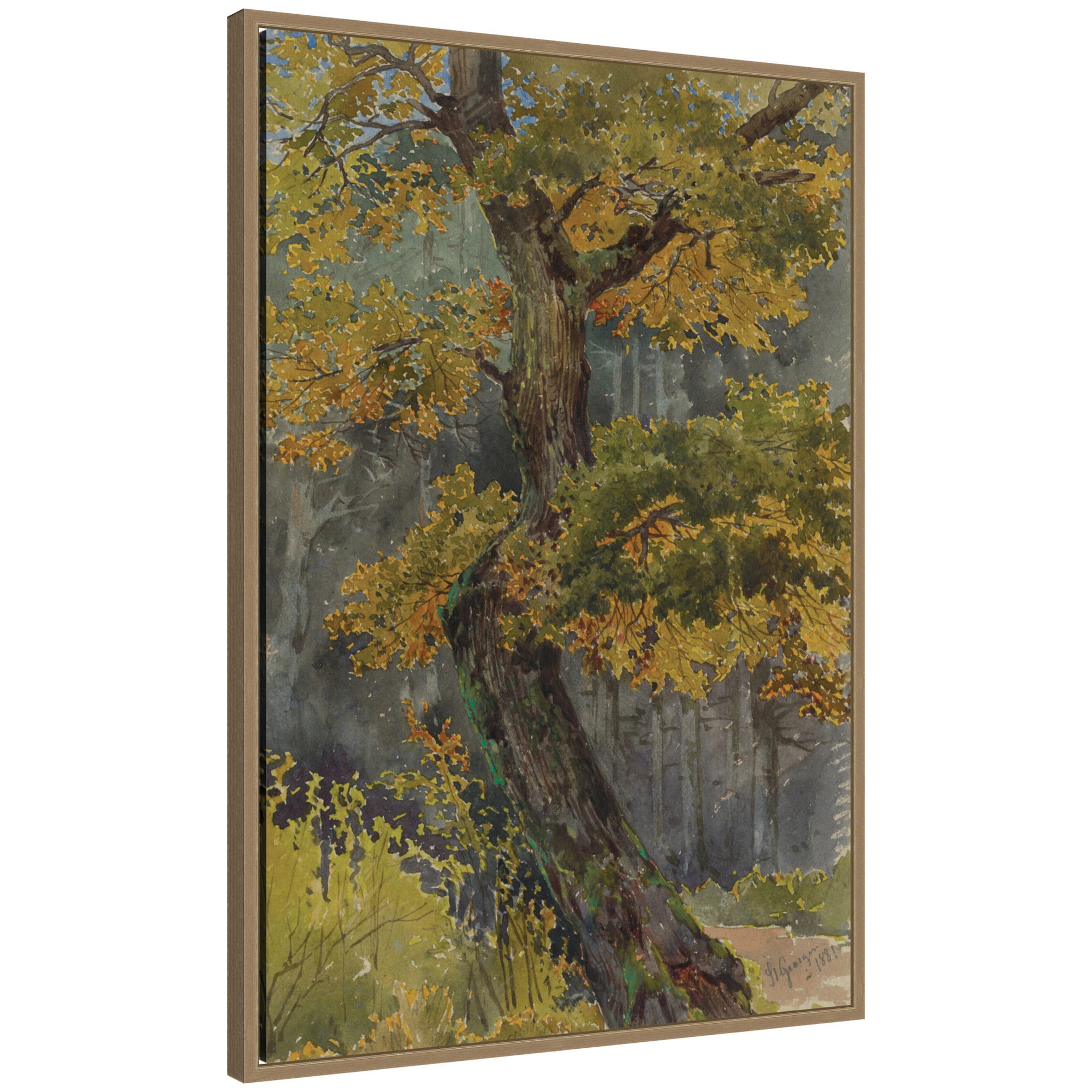 Framed Canvas 23 x 33 Sylvie Dark Gold 1