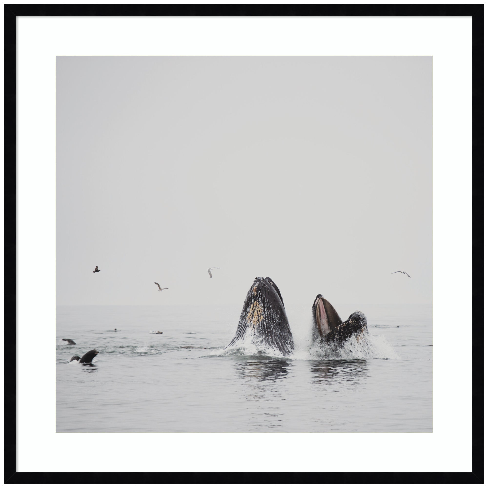 Framed Art Svelte Noir Black 33x33 1